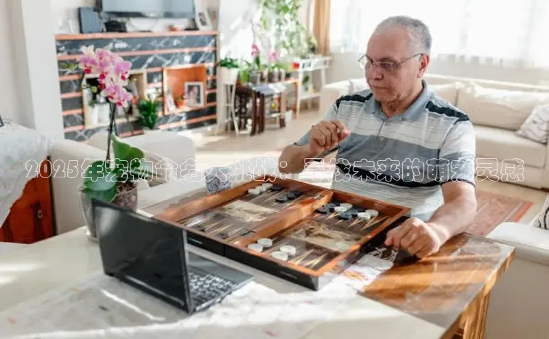 mk全站app官方下载最新版本更新内容华策影视